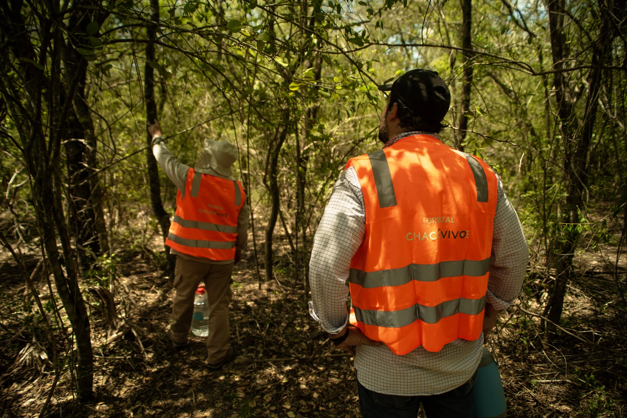 Chaco Vivo